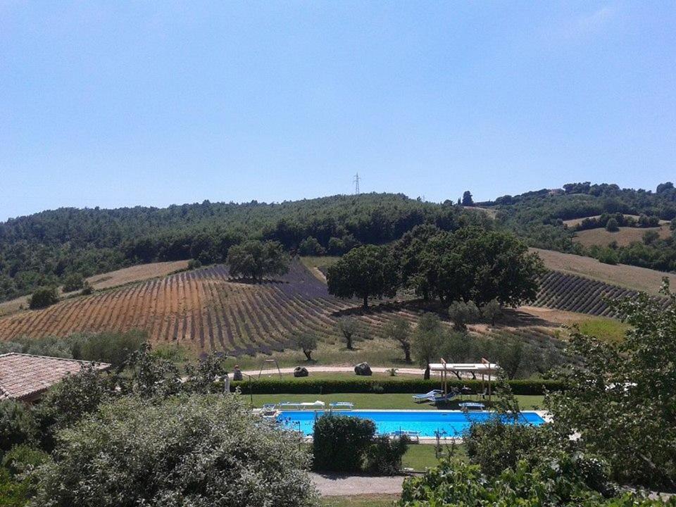 Il Poggio Di Teo Villa Manciano Eksteriør bilde