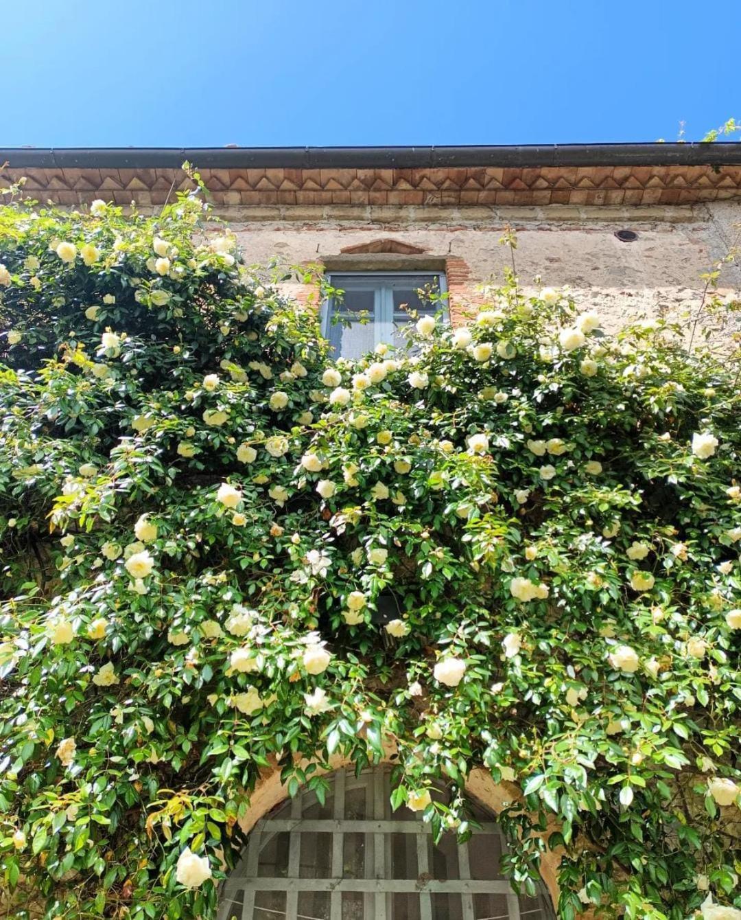 Il Poggio Di Teo Villa Manciano Eksteriør bilde